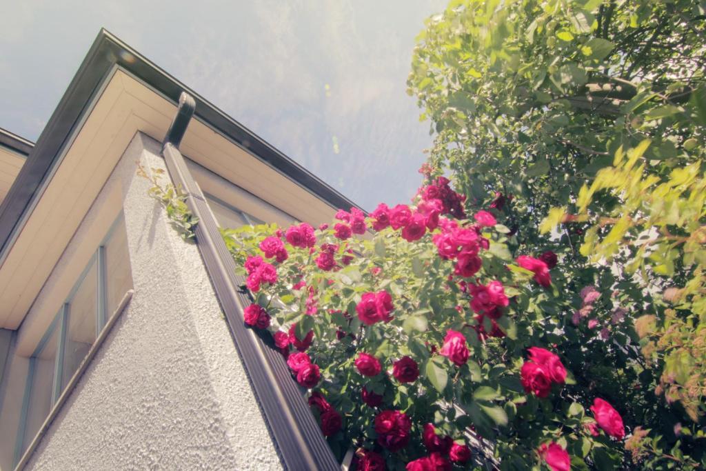 Apartment Hotel Kuukkarin Kortteeri Pori Dış mekan fotoğraf